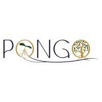 Pongo
